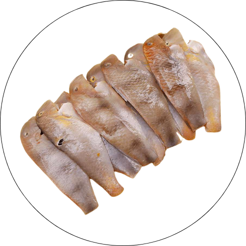 CÁ MÓ PHI LÊ CÒN DA ĐÔNG LẠNH